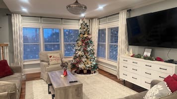 Smart TV, fireplace, video games, DVD player