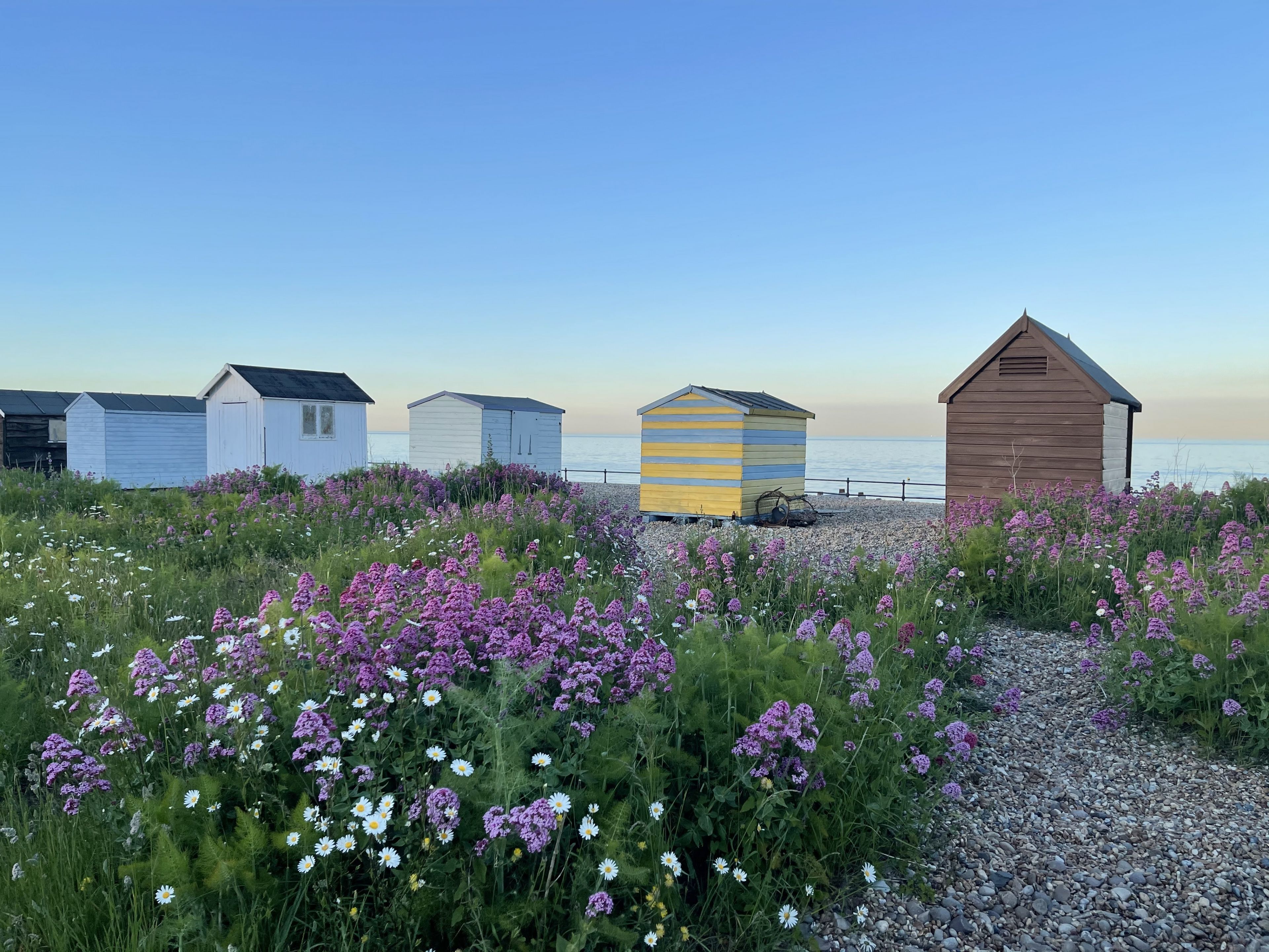 A row of beach huts with a gravel path leading to the sea.