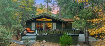 Tahquitz Chalet: Pet Friendly, Retro Chic Cabin with Lily Rock Views