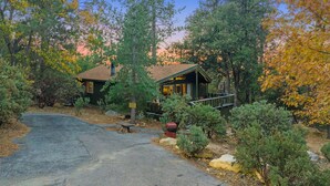 A rustic cabin with a porch, surrounded by trees and a stone pathway.