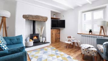 Smart TV, fireplace, books, music library