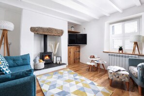 TV connectée, cheminée, livres, médiathèque
