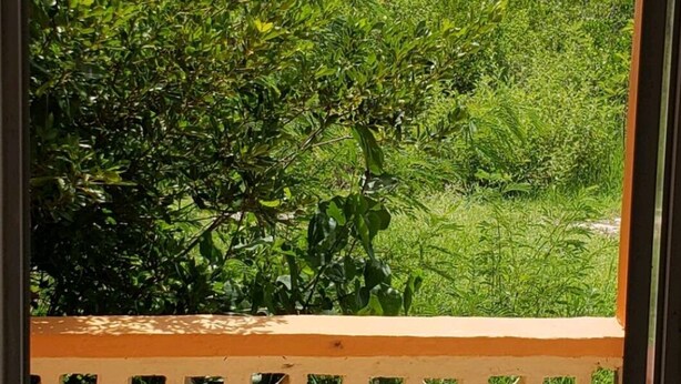 Vista desde un balcón con barandilla de celosía, sobre un paisaje verde exuberante y una masa de agua con montañas al fondo.