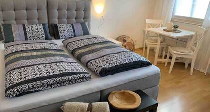 Modern living *historical*vivid*central*near river