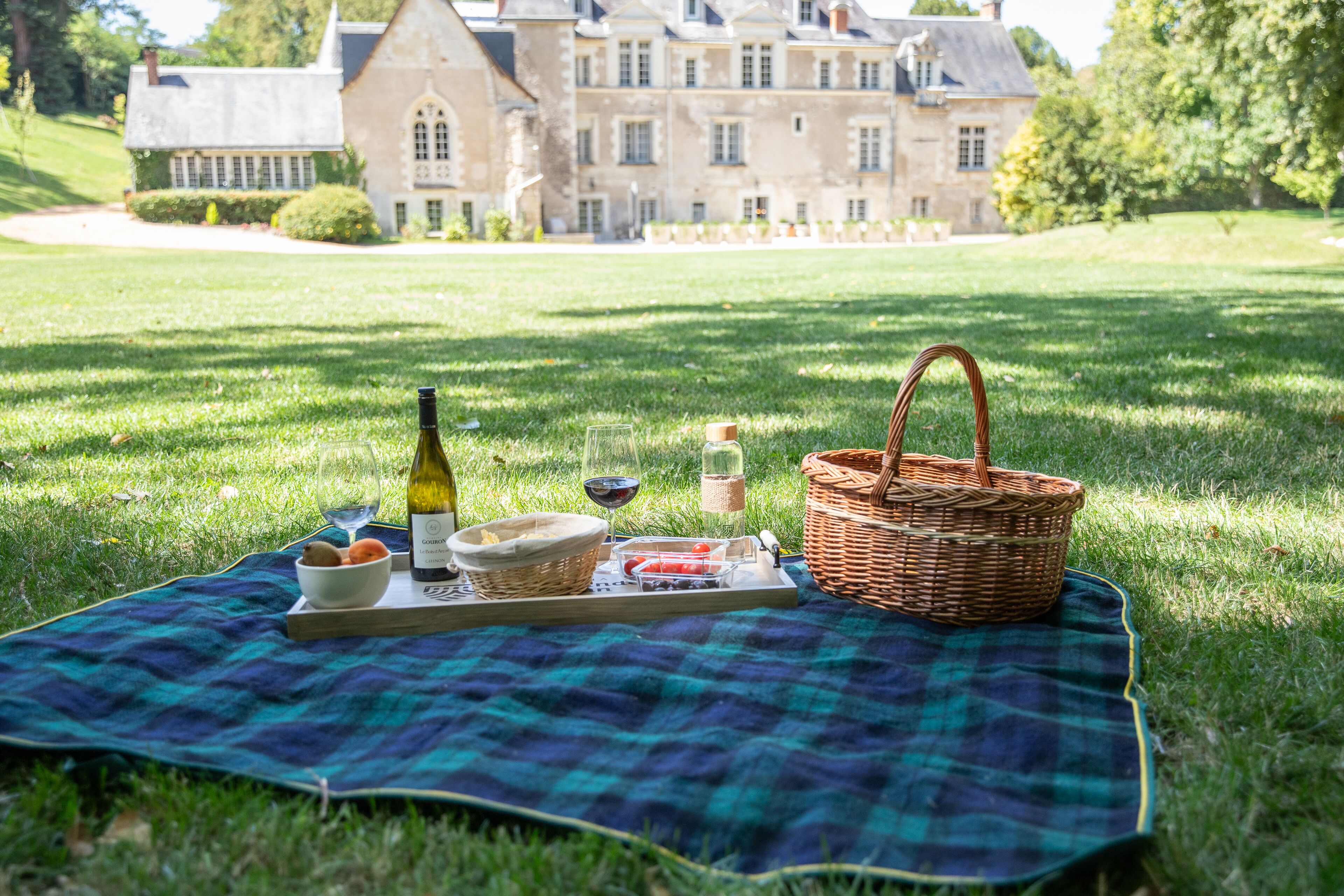 A picnic setup on a grassy lawn with a house in the background.
