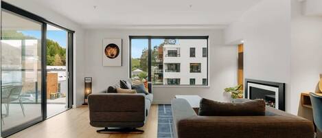 TV, fireplace, DVD player, stereo