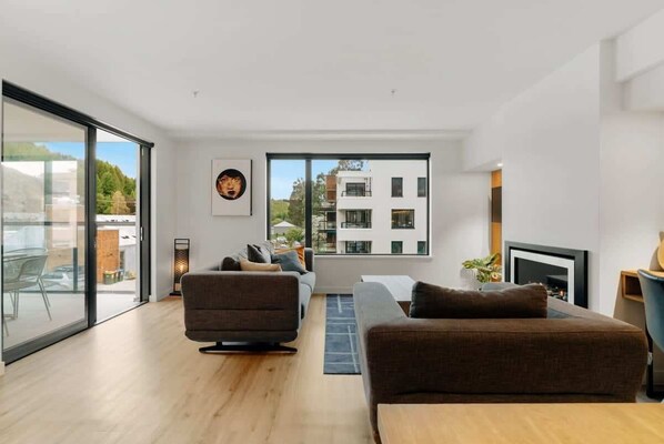 Télévision, cheminée, lecteur de DVD, chaîne hi-fi