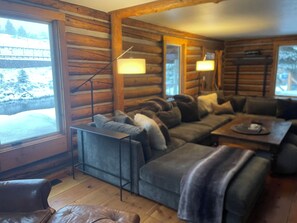 TV connectée, cheminée, livres