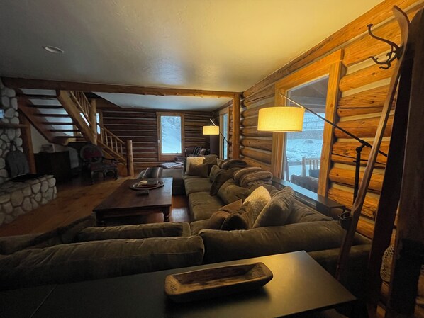 TV connectée, cheminée, livres