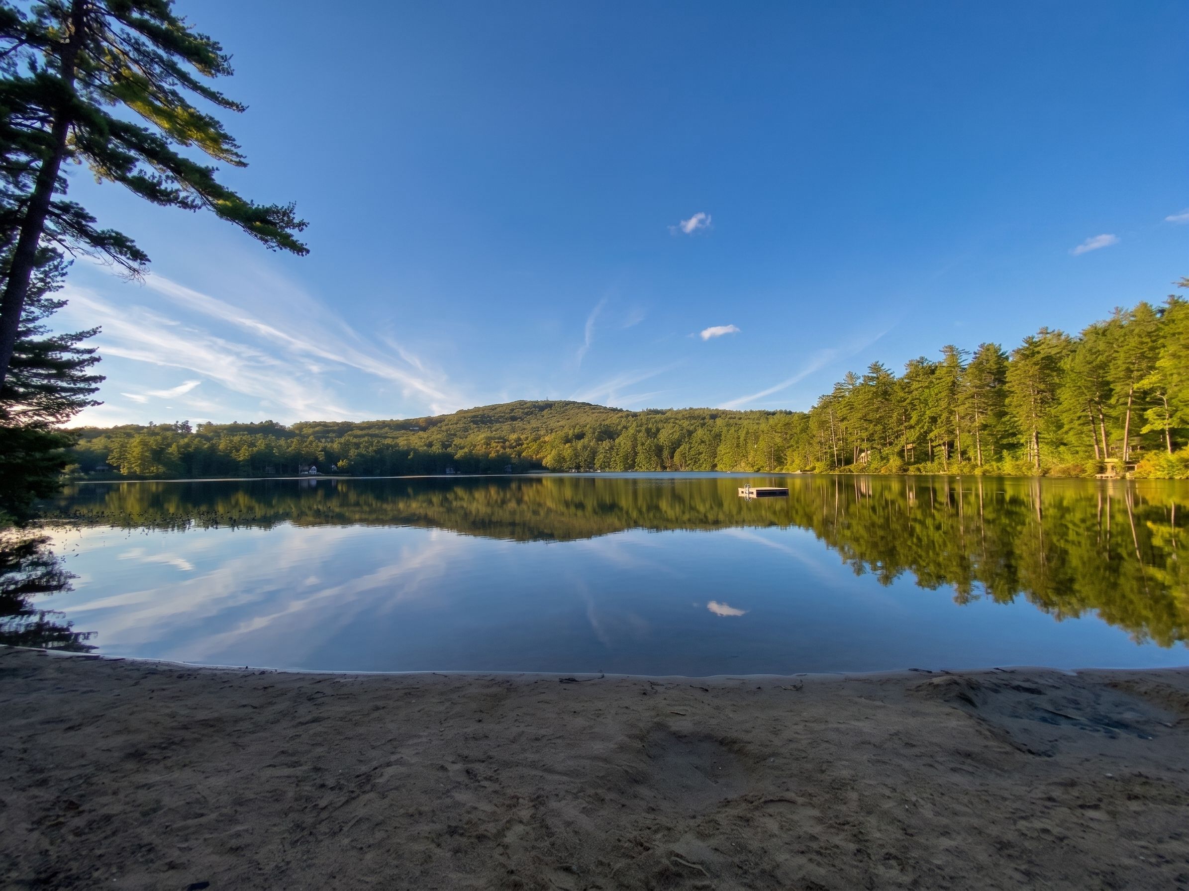 Un lac paisible, avec une plage de sable et une forêt dense sur la rive opposée.