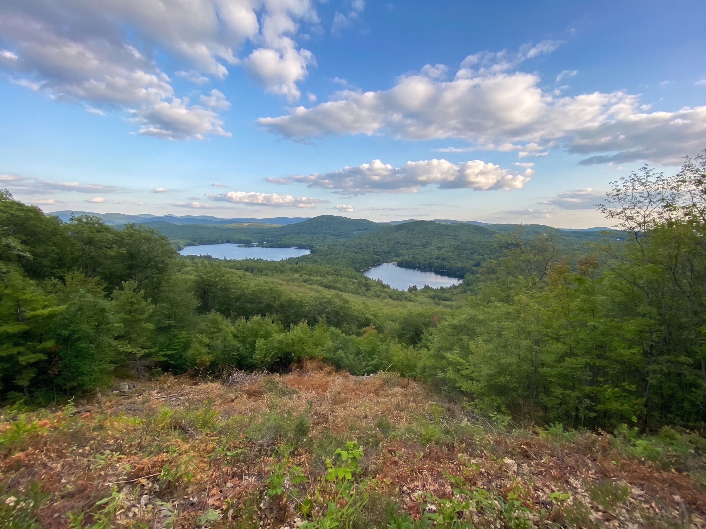 A natural landscape with a lake surrounded by forested hills.