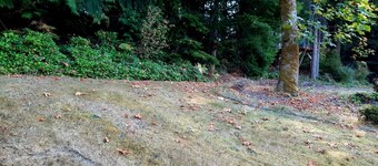 Cozy One Bedroom Apartment In Town On 3 Acres