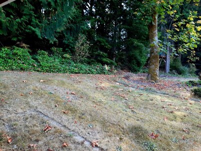 Cozy One Bedroom Apartment In Town On 3 Acres