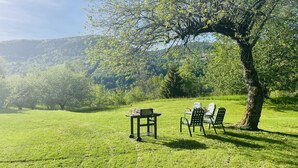 Un'area verdeggiante all'aperto con un tavolo e due sedie sotto un albero, circondata da vegetazione lussureggiante e colline.