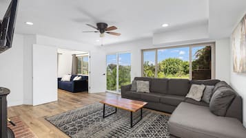 Smart TV, fireplace, Netflix, foosball