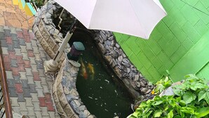 A koi pond with a stone wall and a green fence in the background. -  QBR Balcony Suite (St. Joseph)