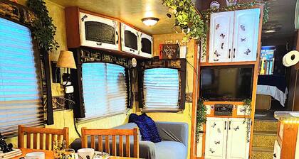 Private 2 bedroom 2 bathroom whole home dog friendly quiet Hideaway in Tampa Bay