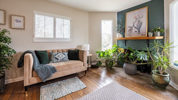 A cozy living room with a beige sofa, a fireplace, and various potted plants.