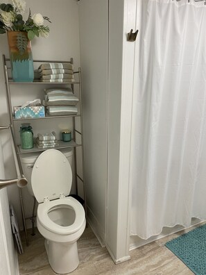 Ensemble douche/baignoire, sèche-cheveux, savon, papier toilette