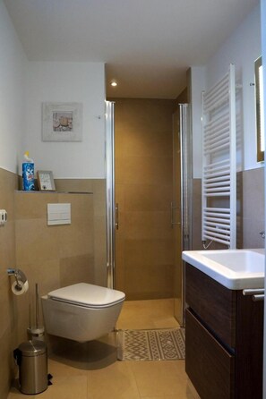 Shower, hair dryer