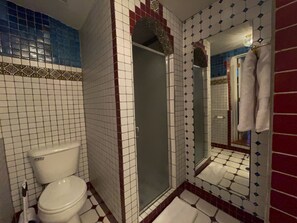 Un baño con inodoro, ducha y espejo.