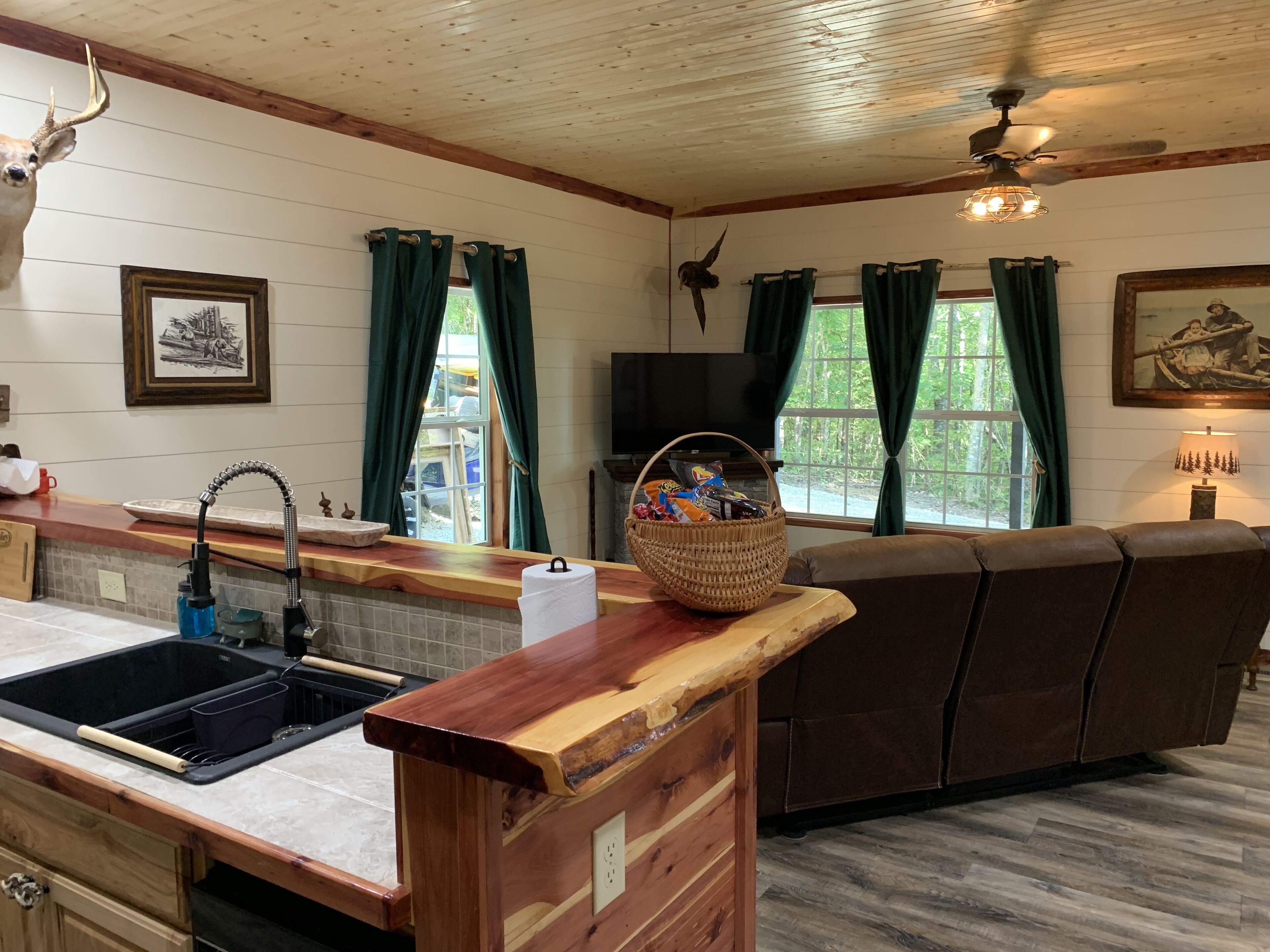 Smart TV, fireplace, video games, books