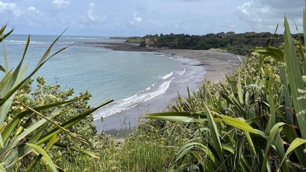 A coastal landscape with a beach, vegetation, and cliffs. - The Bach on Dorset 🌊 (Opunake)