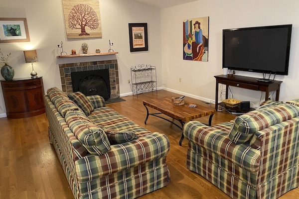Living room with gas fireplace and 58" TV with Firestick streaming and DVD.