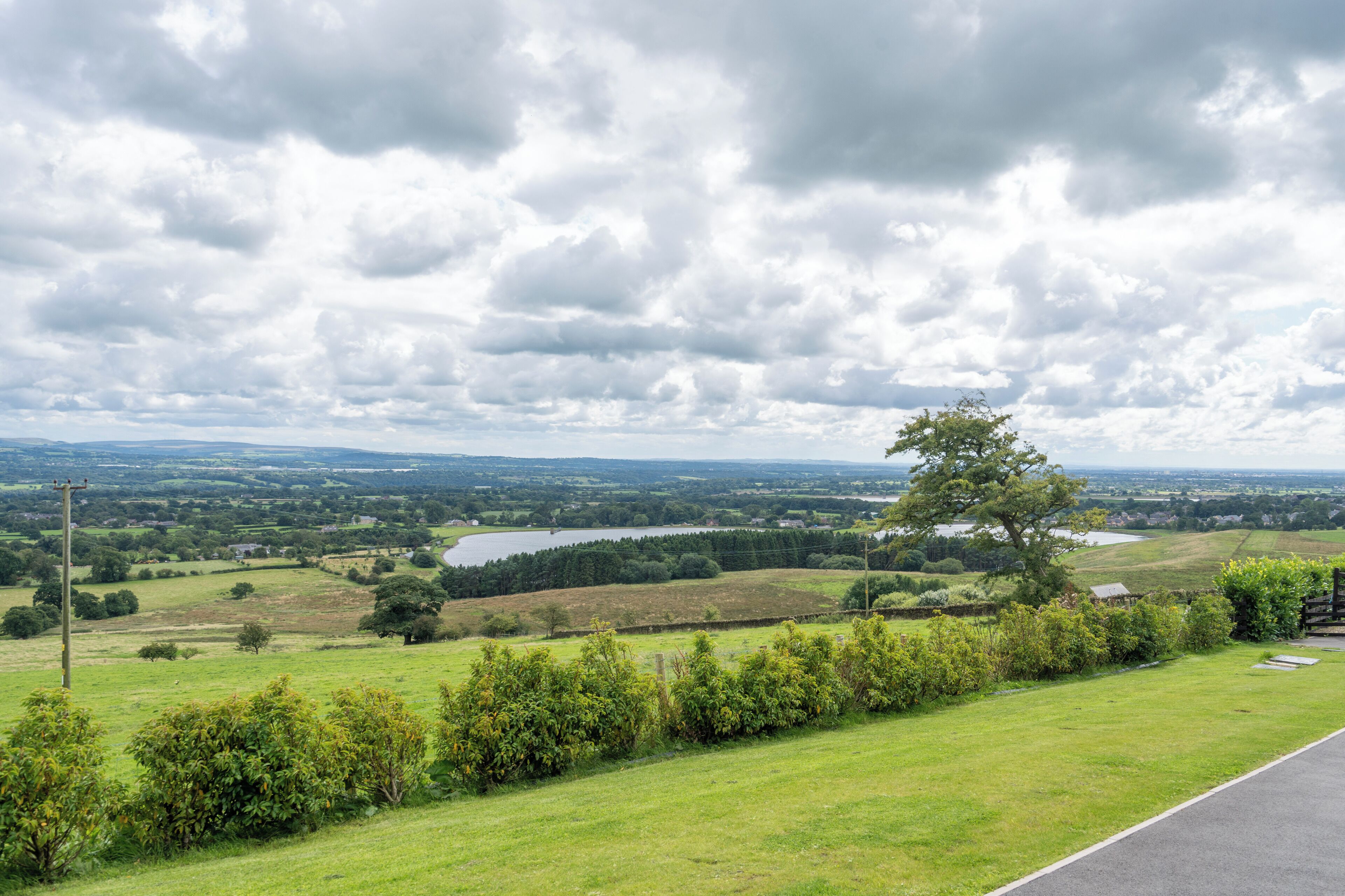 Un paysage rural avec une route, des champs, un lac et un grand arbre.