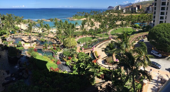 A resort with a pool area, palm trees, and a view of the ocean.