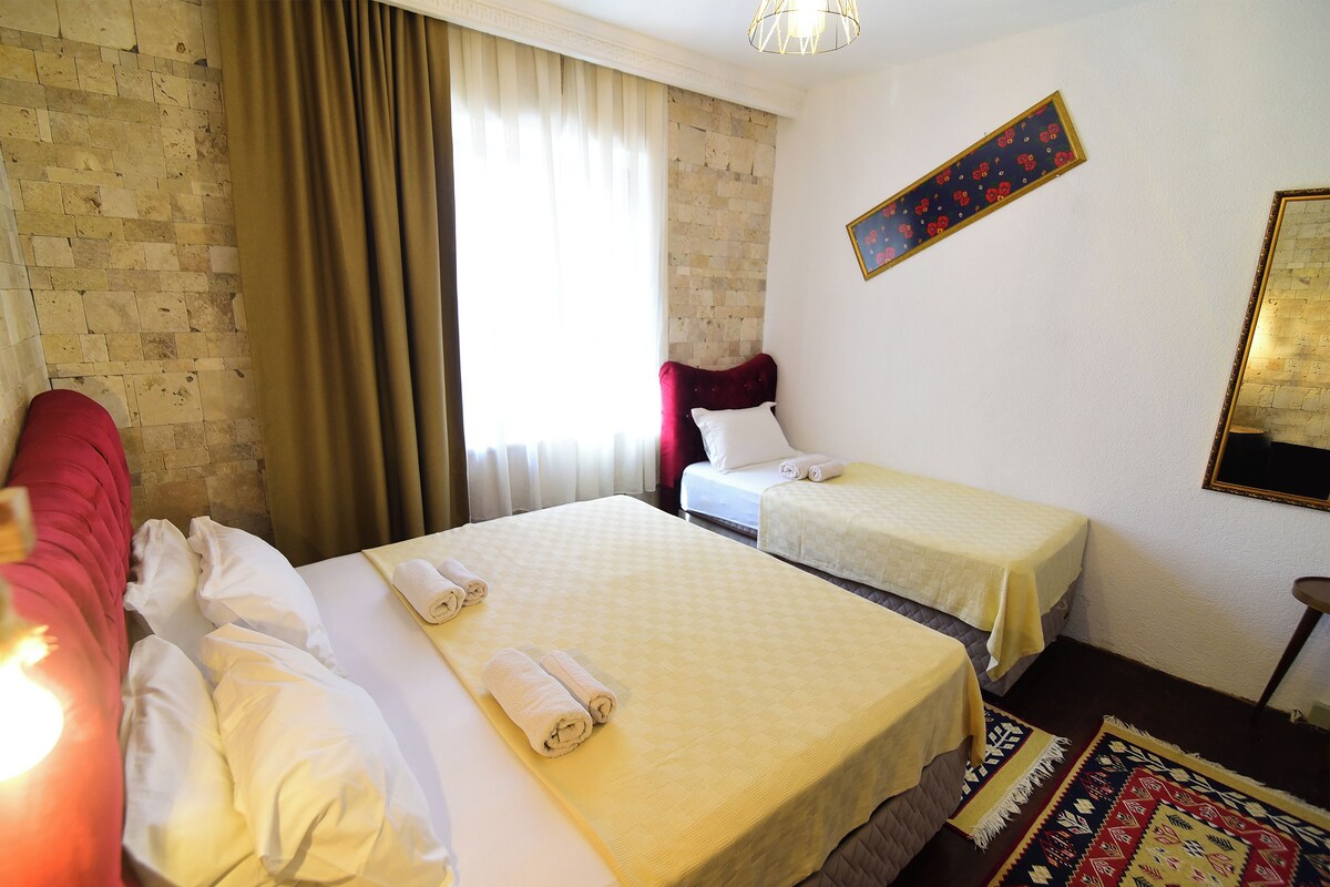 Minibar, tabla de planchar con plancha, wifi gratis y ropa de cama 