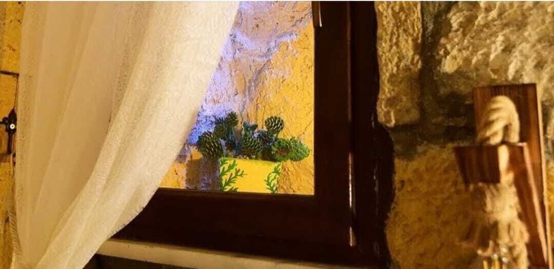 A window with a view of a rocky wall and a small indoor plant.
