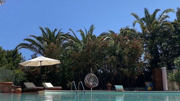 A clear swimming pool with lounge chairs and a hanging chair, surrounded by palm trees and a clear sky. - Villa Vittoria Vieste | Private residence with pool (Defensola)