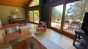 Smart-tv och eldstad