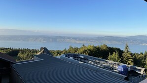 Vista desde un lugar elevado de una zona costera con cielo despejado, una masa de agua y un paisaje boscoso.