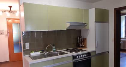 Ferienwohnung in Schwarzwaldhaus Haus Heimrich