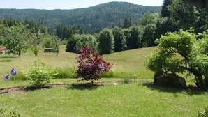 Unclassified image, 5 of 25, button - Vacation apartment in Schwarzwaldhaus Haus Heimrich (Todtmoos-Schwarzenbach)