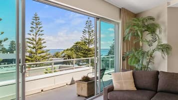 Smart TV, DVD player