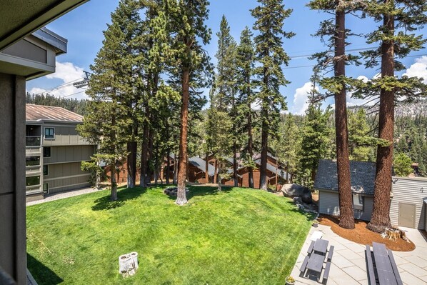 A residential area with a well-maintained lawn, tall pine trees, and a cabin-style building.