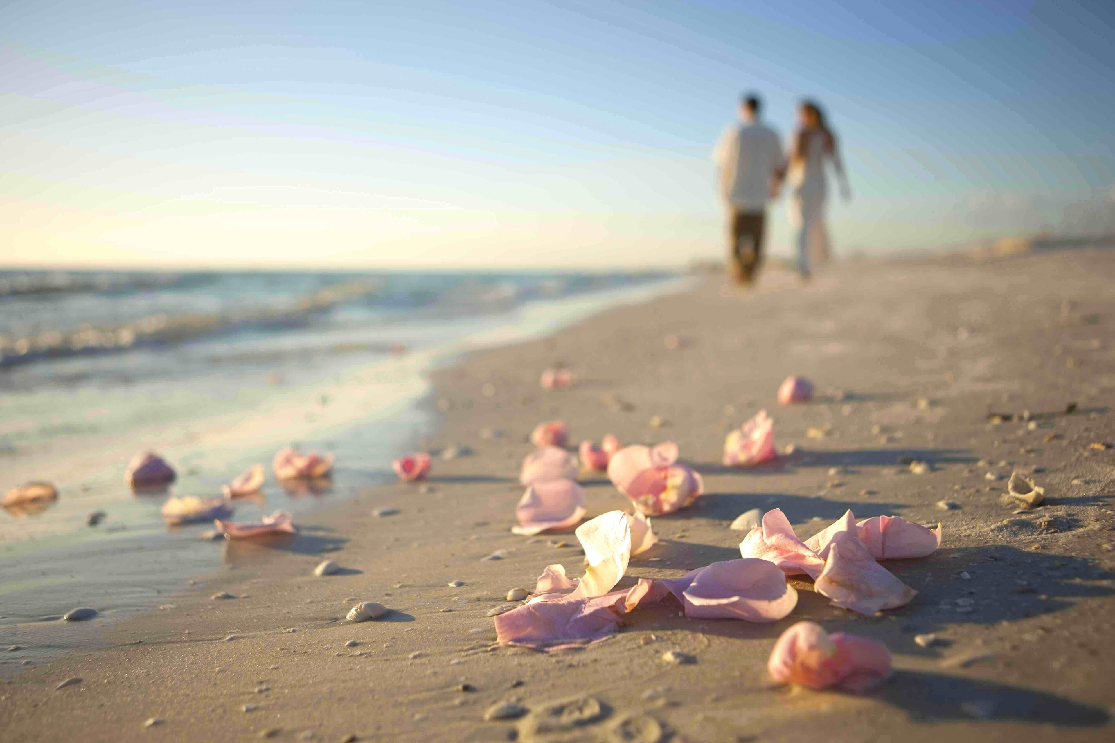 Une plage parsemée de pétales, et un couple qui se promène au loin.
