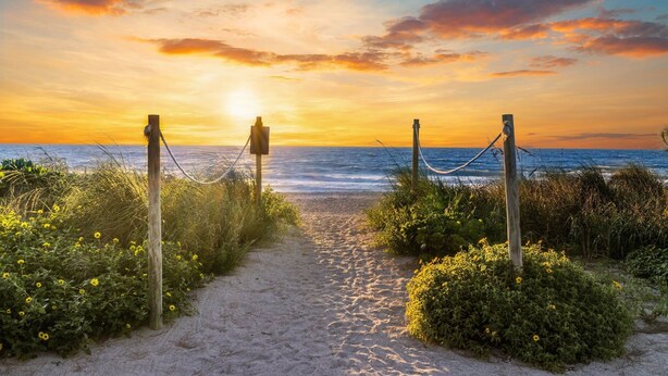 Plage