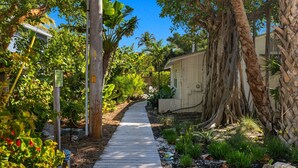 Un sentier qui traverse un jardin où l’on trouve différentes espèces de plantes et d’arbres.