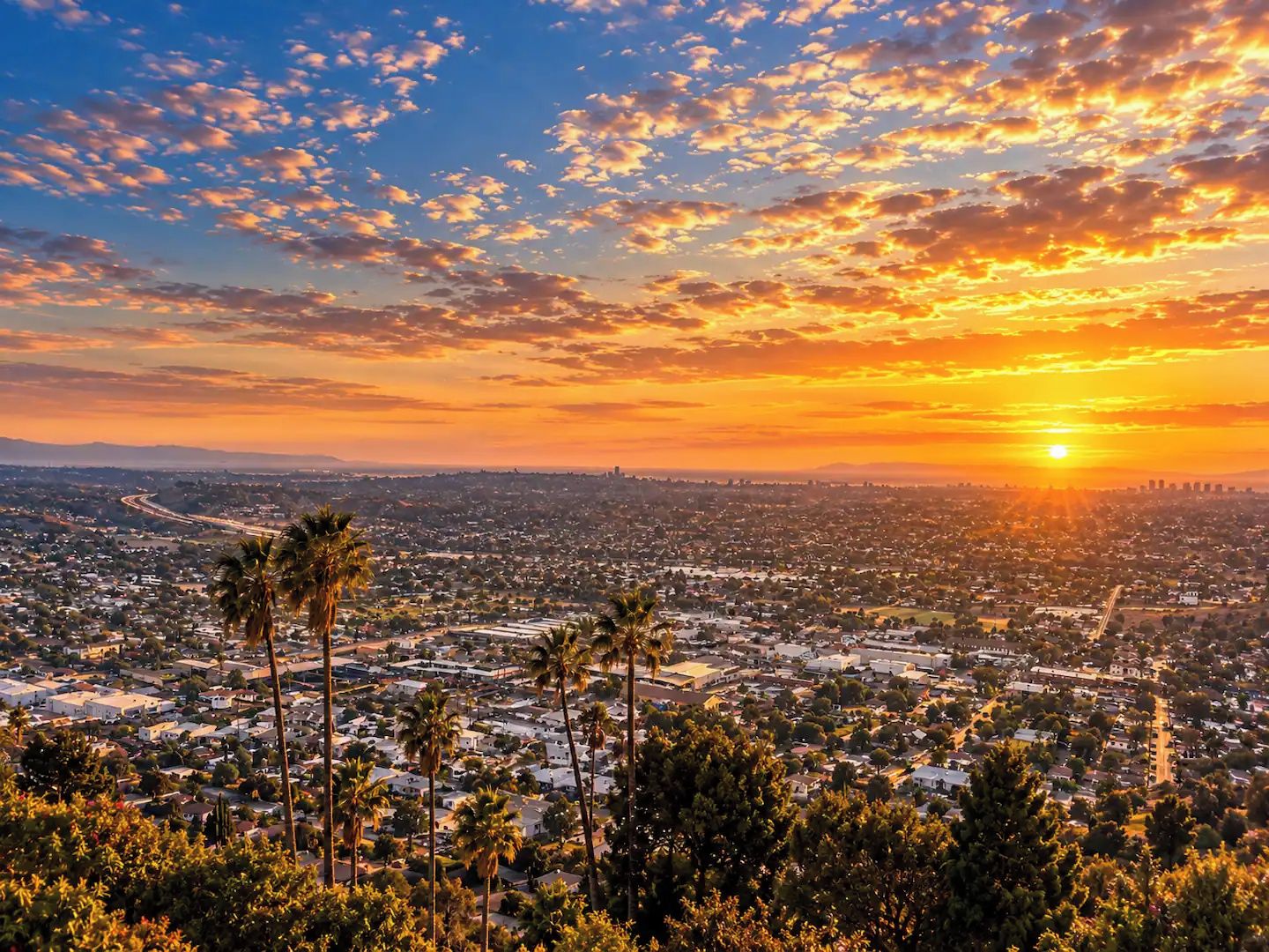 Une vue sur une ville au coucher du soleil, avec un ciel dégagé, des palmiers et un soleil lointain.