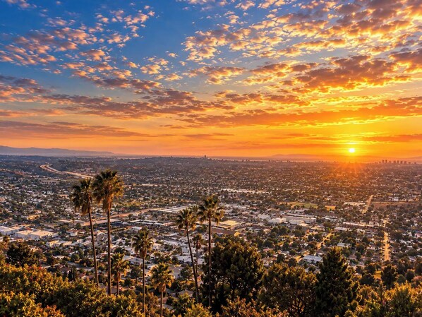 Un paisaje urbano al atardecer con cielo despejado, palmeras y un sol distante.