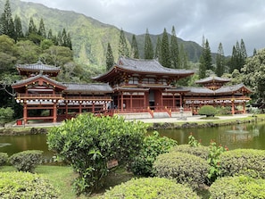 A traditional Japanese temple with multiple buildings, surrounded by lush greenery and a pond.