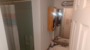 A bathroom with a shower, a sink, and a mirror.