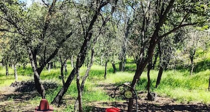 Calling all Birders & Nature lovers to Ramsey Canyon Cabins & Bird Sanctuary