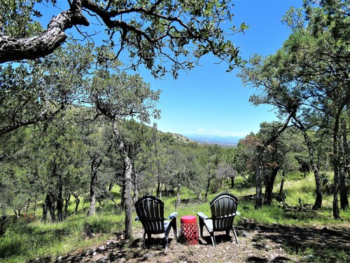 Calling all Birders & Nature lovers to Ramsey Canyon Cabins & Bird Sanctuary