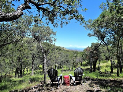 Calling all Birders & Nature lovers to Ramsey Canyon Cabins & Bird Sanctuary