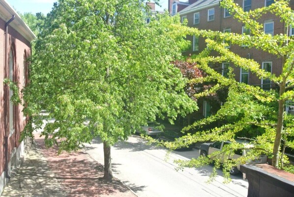 Un trottoir bordé d’arbres, situé à côté d’un immeuble dont la façade est en briques.